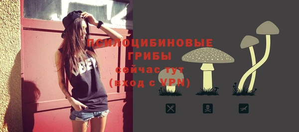 прущий лед Балахна