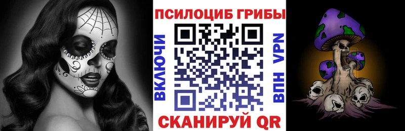 купить закладку KRAKEN как войти Псилоцибиновые грибы прущие грибы Нефтегорск